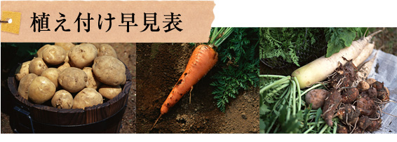 植え付け早見表
